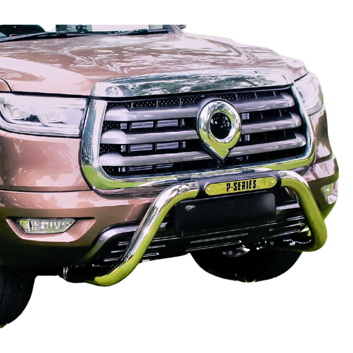 GWM P-Series Nudge Bar Stainless Steel